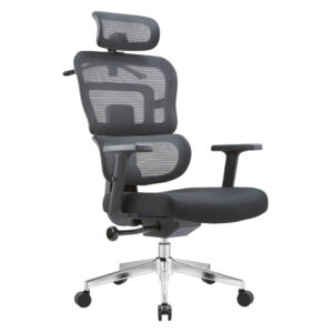 Ergonomic Chairs